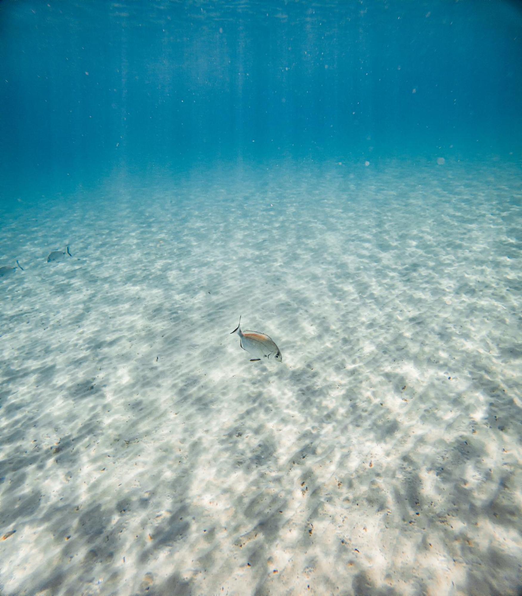Marina D'Or Iv, Casa 5 Βίλα Cala D´Or Εξωτερικό φωτογραφία